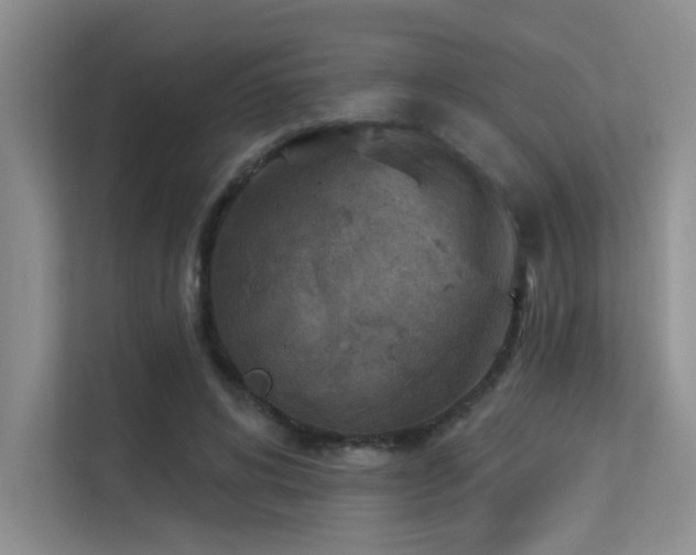 X0000113360592200909151237