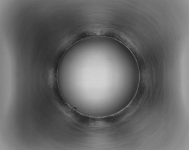 X0000113360594200909151237