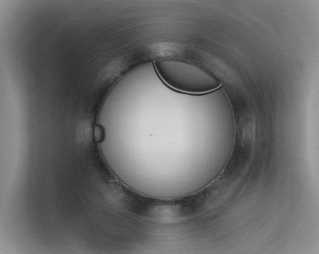 X0000113360595200909151237