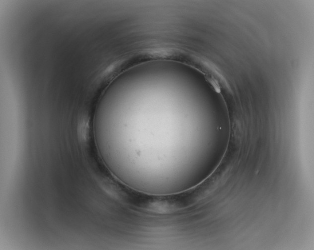 X0000113360596200909151237