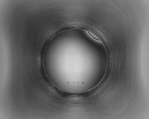 X0000113360597200909151237