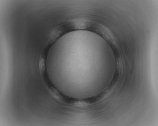 X0000113360598200909151237