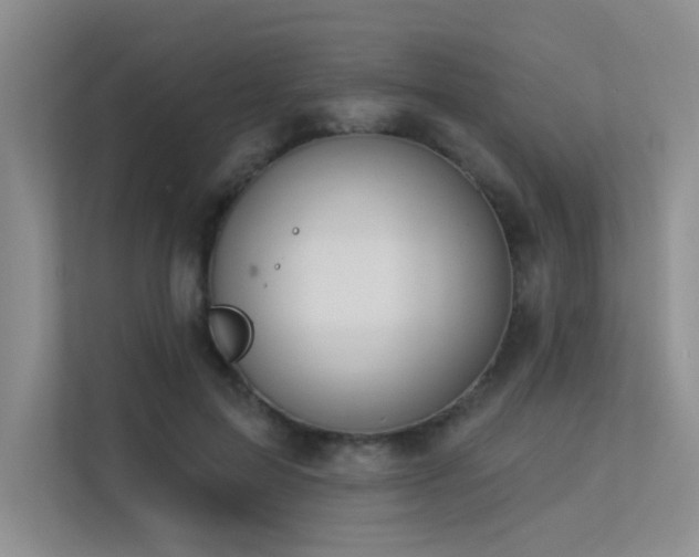 X0000113360599200909151237