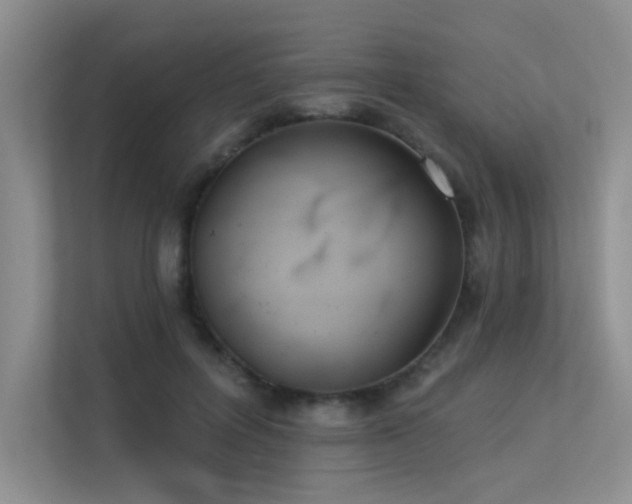 X0000113360600200909151237
