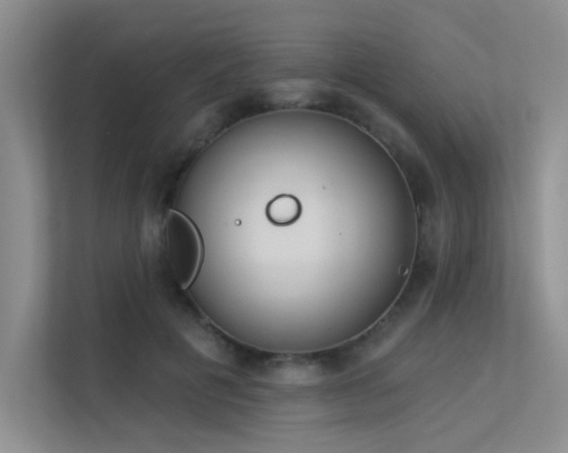 X0000113360601200909151237