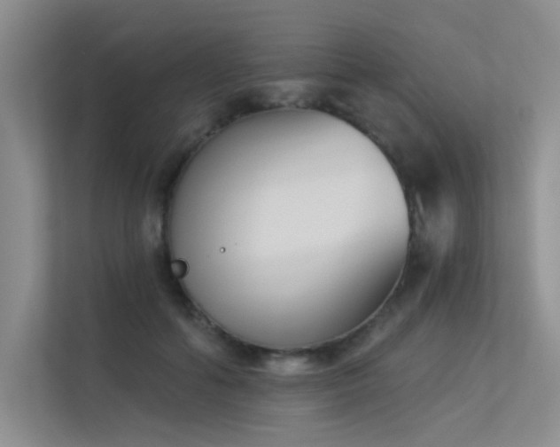 X0000113360602200909151237