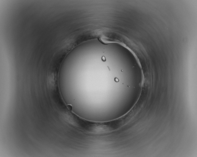 X0000113360605200909151237