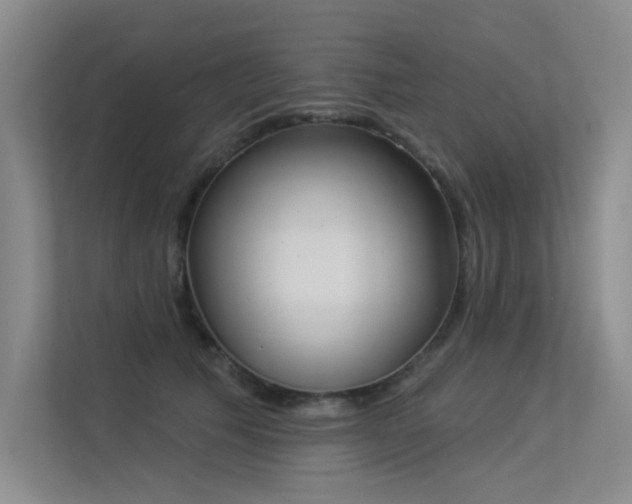 X0000113360609200909151237