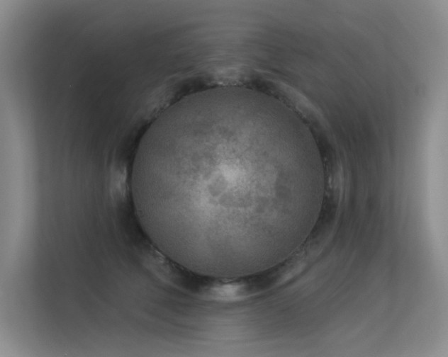 X0000113360610200909151237