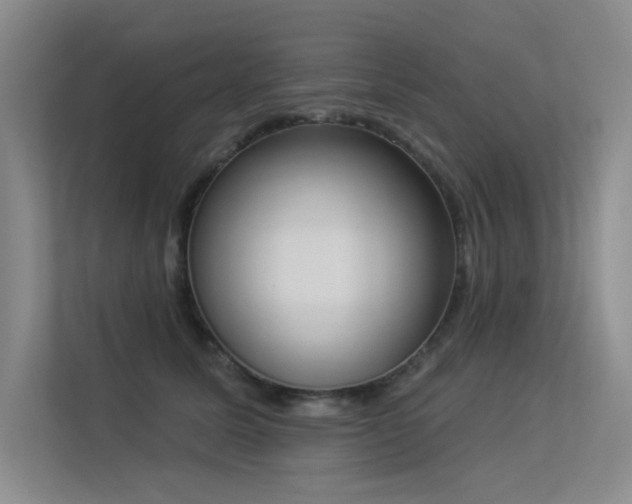 X0000113360611200909151237