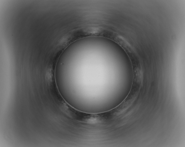 X0000113360612200909151237