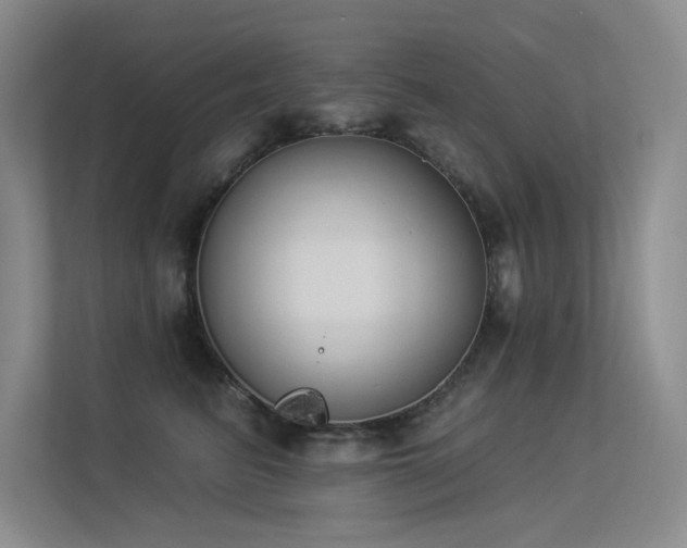 X0000113360615200909151237