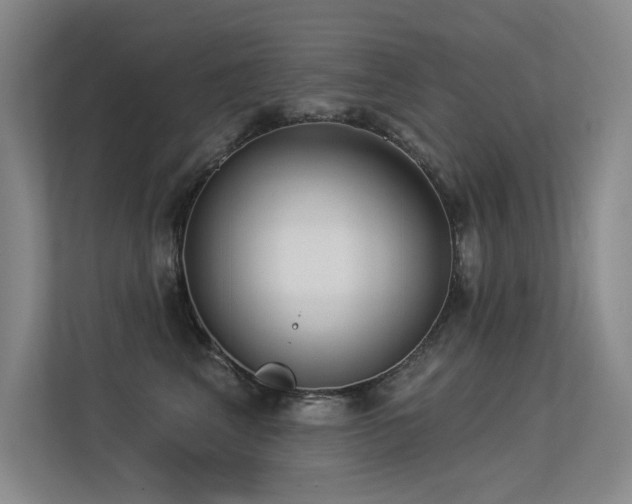 X0000113360617200909151237