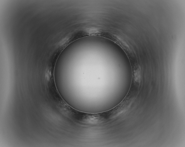 X0000113360618200909151237