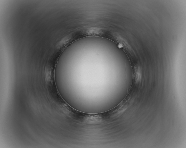 X0000113360619200909151237