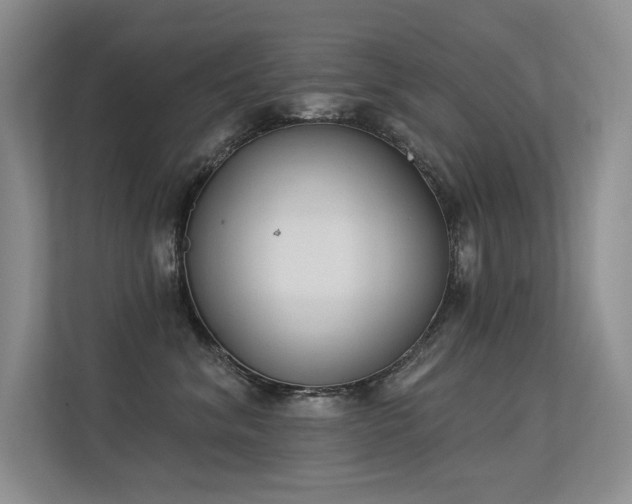 X0000113360620200909151237