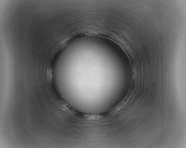 X0000113360621200909151237