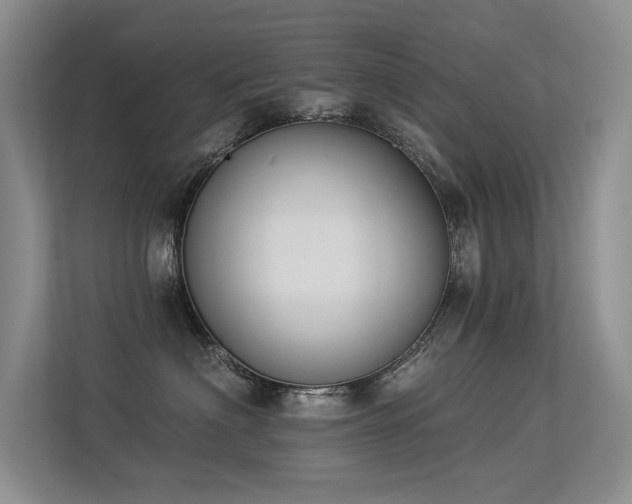 X0000113360622200909151236