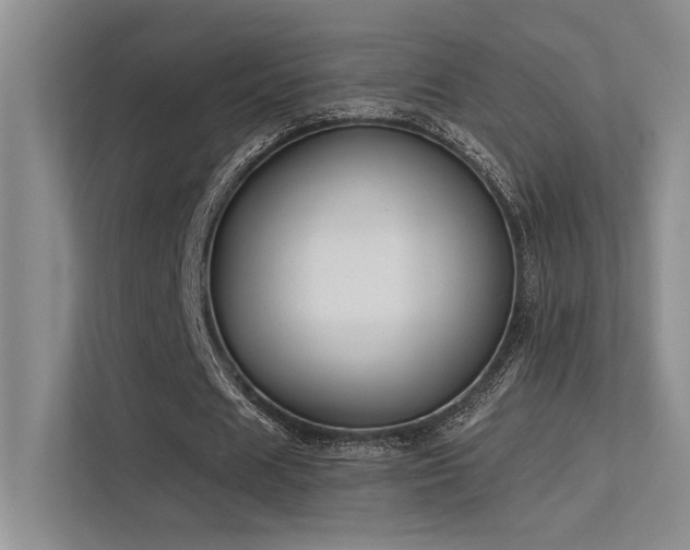 X0000113360625200909151236