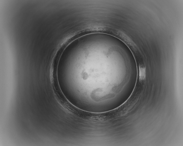 X0000113360627200909151236