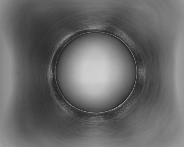 X0000113360628200909151236
