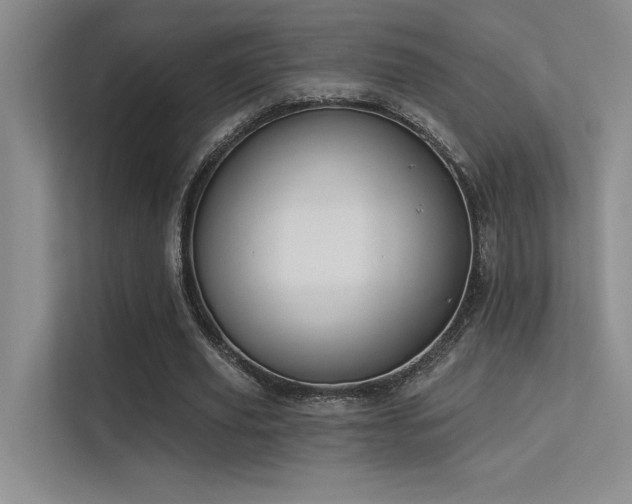 X0000113360629200909151236