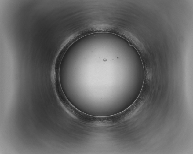 X0000113360630200909151236