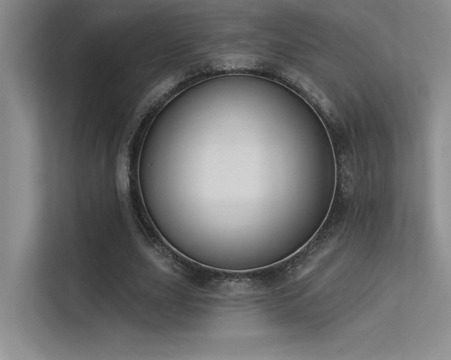 X0000113360631200909151236