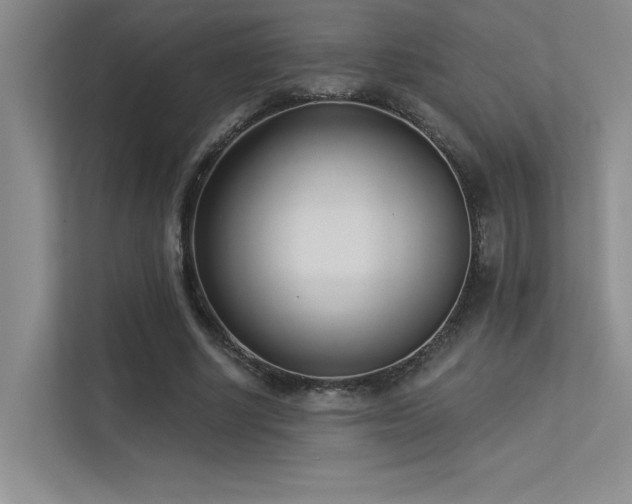 X0000113360634200909151236