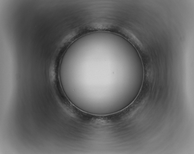 X0000113360635200909151236
