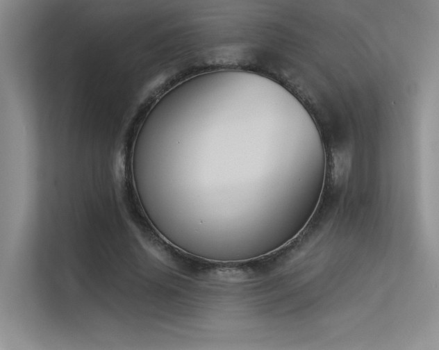 X0000113360636200909151236