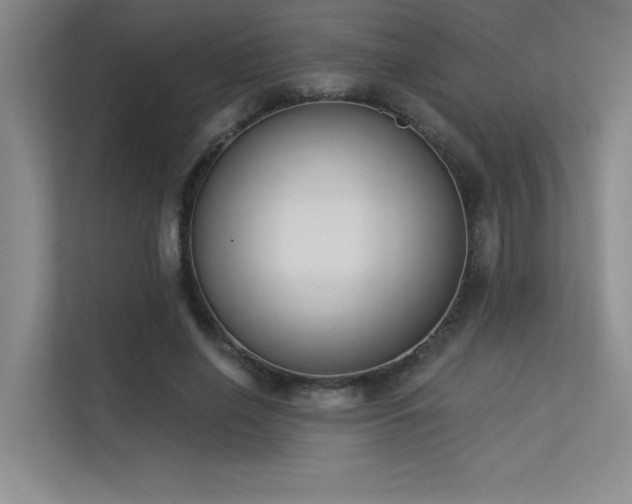 X0000113360638200909151236