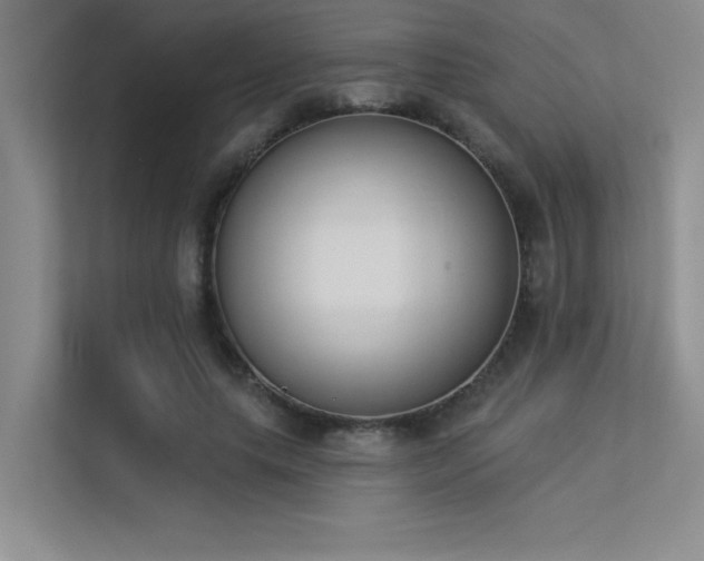 X0000113360639200909151236
