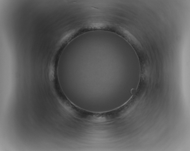 X0000113360640200909151236