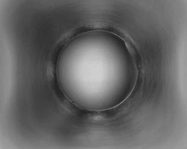 X0000113360643200909151236