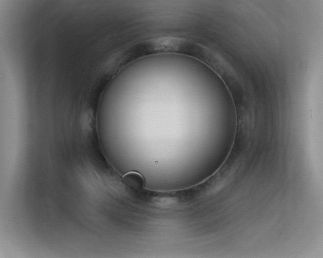 X0000113360649200909151236