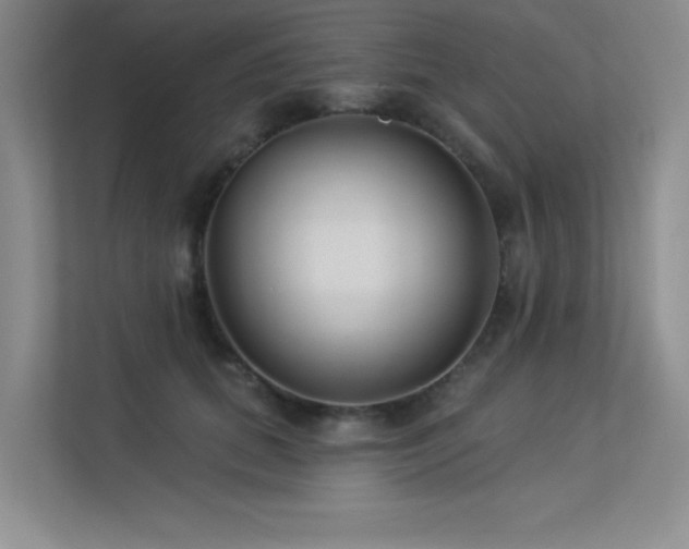 X0000113360655200909151236