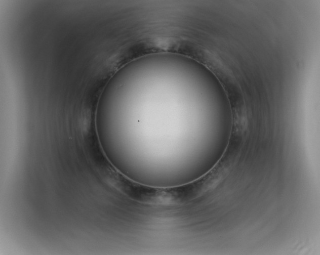 X0000113360656200909151236