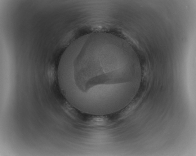 X0000113360659200909151236