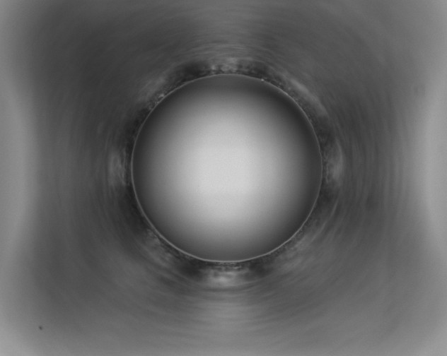 X0000113360661200909151236