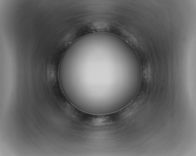 X0000113360662200909151236
