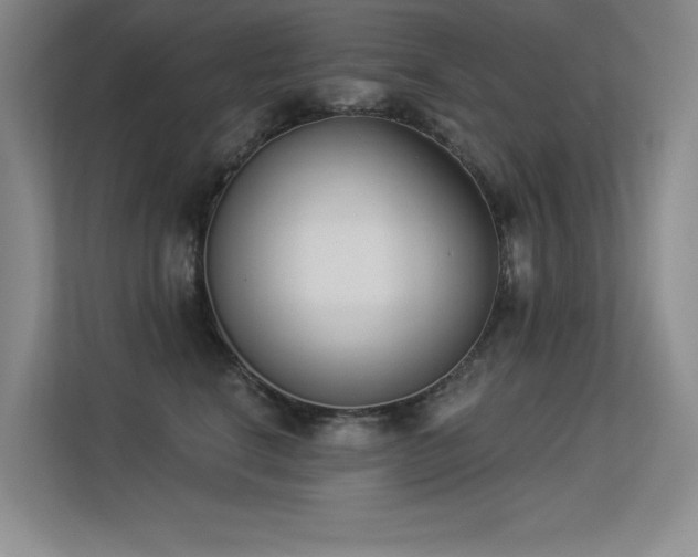 X0000113360664200909151236
