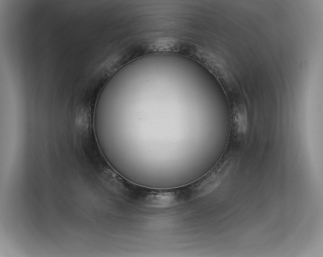X0000113360665200909151236