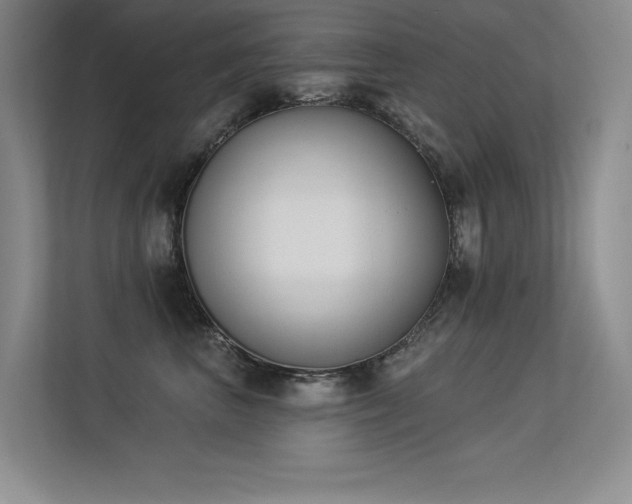 X0000113360667200909151236