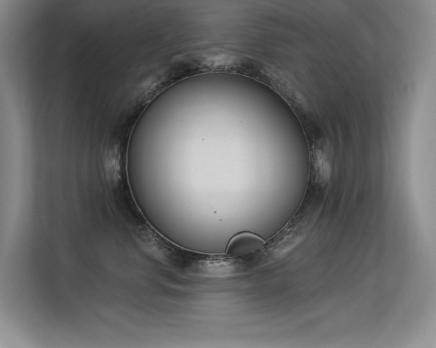 X0000113360668200909151236