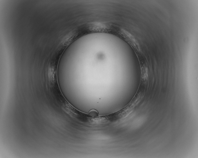 X0000113360669200909151236