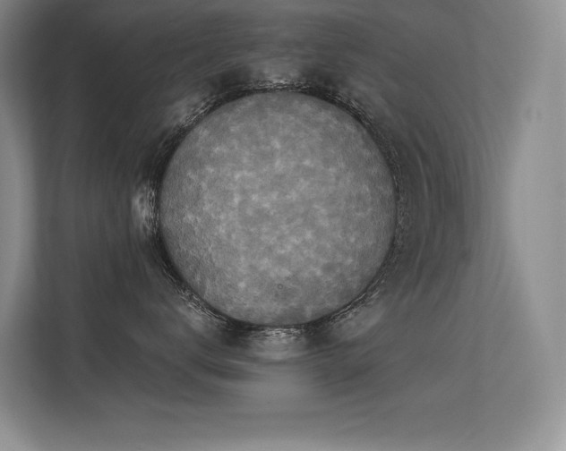X0000113360672200909151236