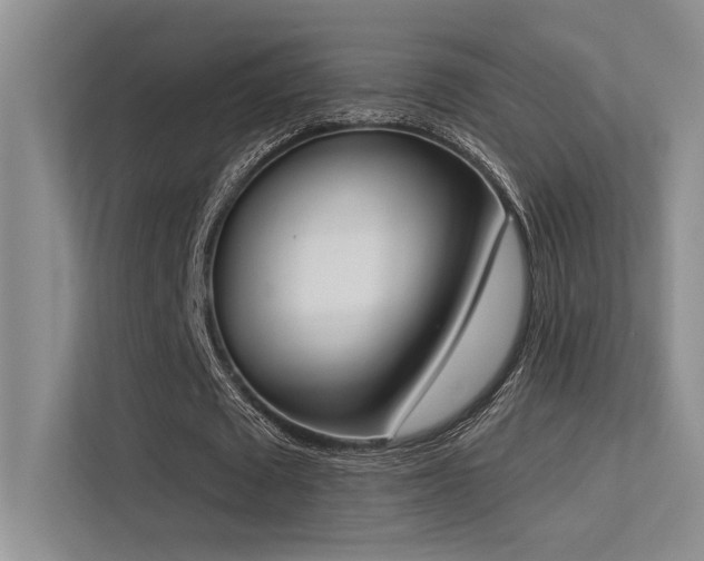 X0000113360673200909151236