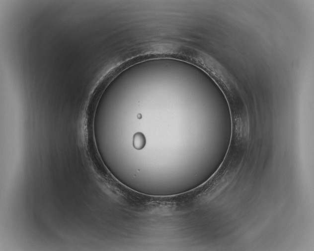 X0000113360676200909151236