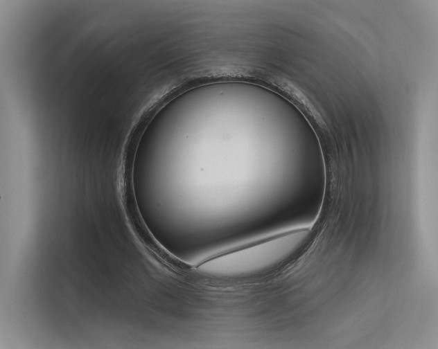 X0000113360677200909151236